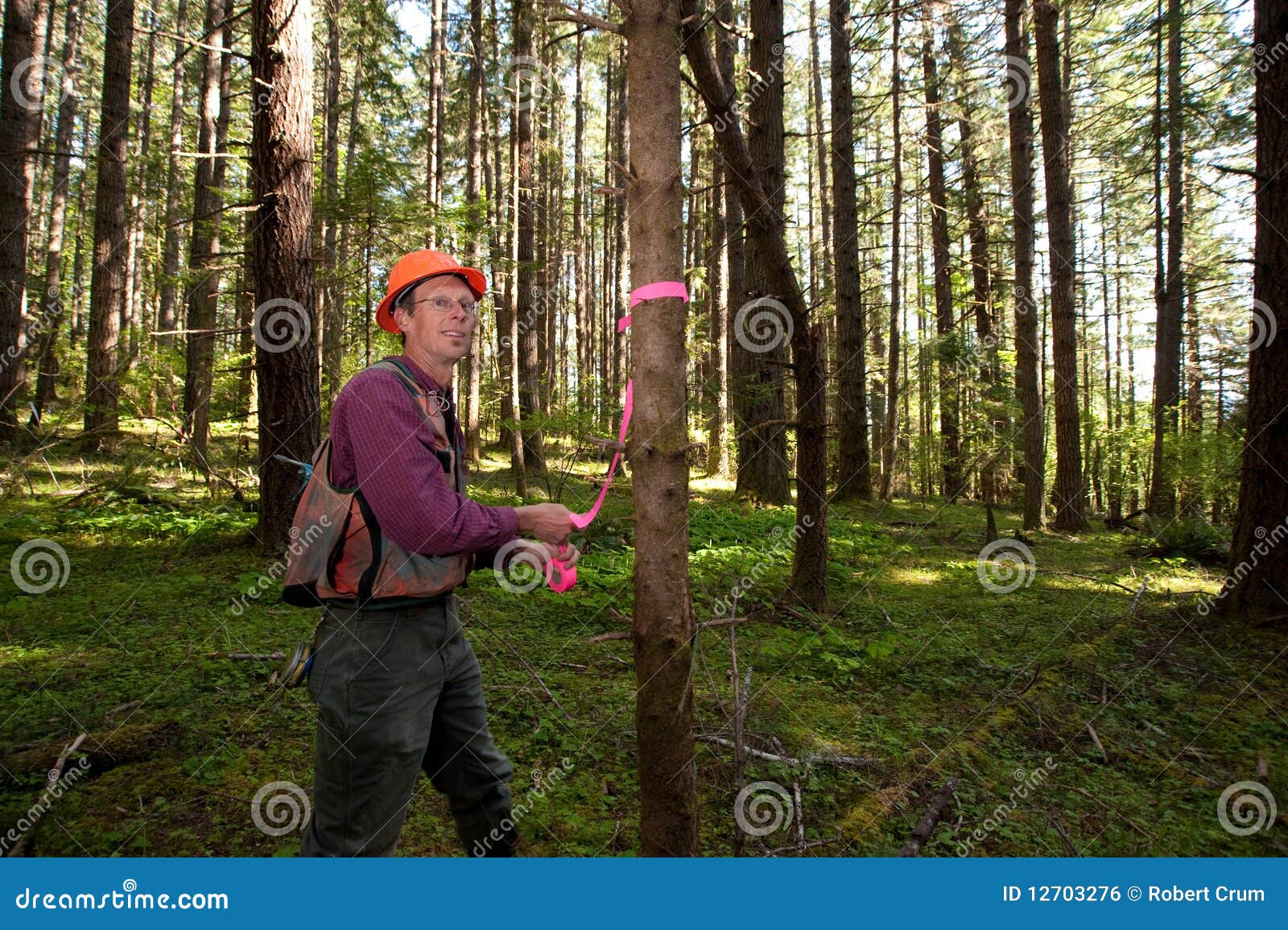 forester in a pacific northwest