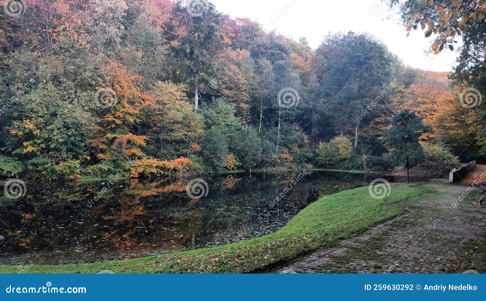 Forestpark in Wuppertal stock photo. Image of flower 259630292