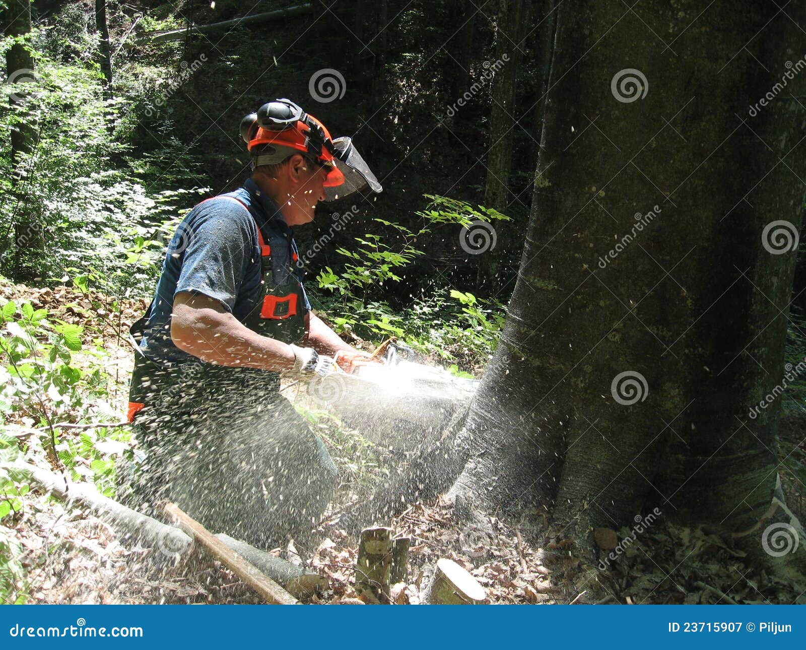 Forestry Worker with a Chainsaw Stock Image Image of boots, outdoors