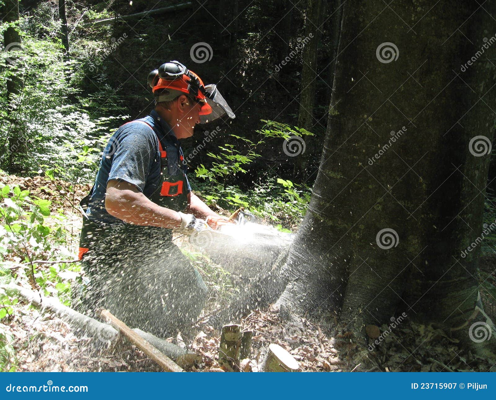 forestry worker with a chainsaw