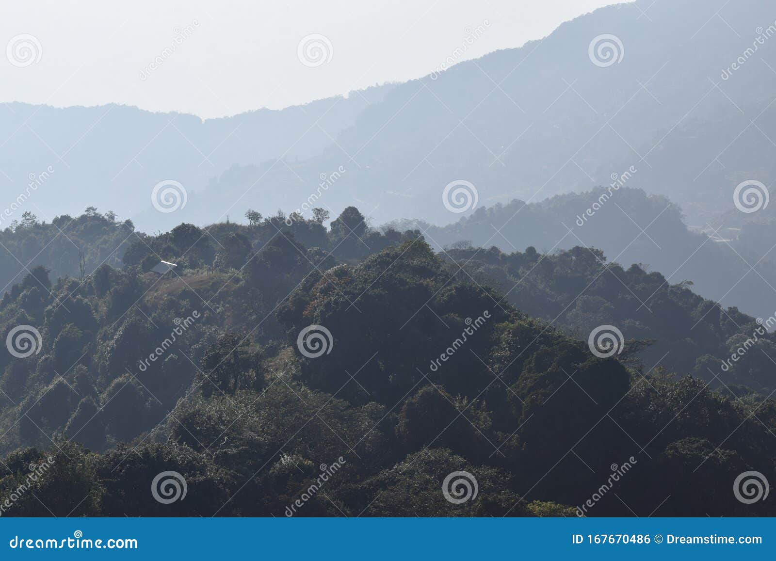Forests Above 2500 Meters Above Sea Level Stock Photo Image Of Asian Forests
