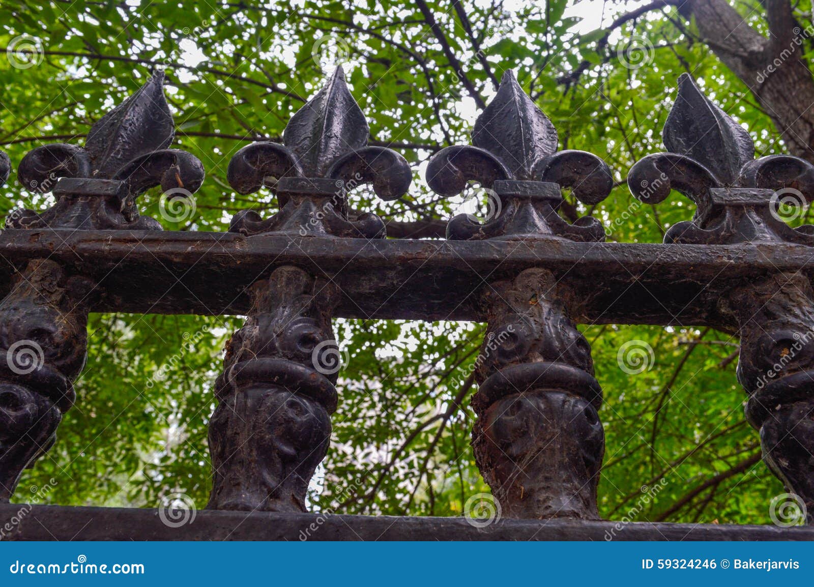Iron Fence in Montreal Stock Photo Image of detail, garden