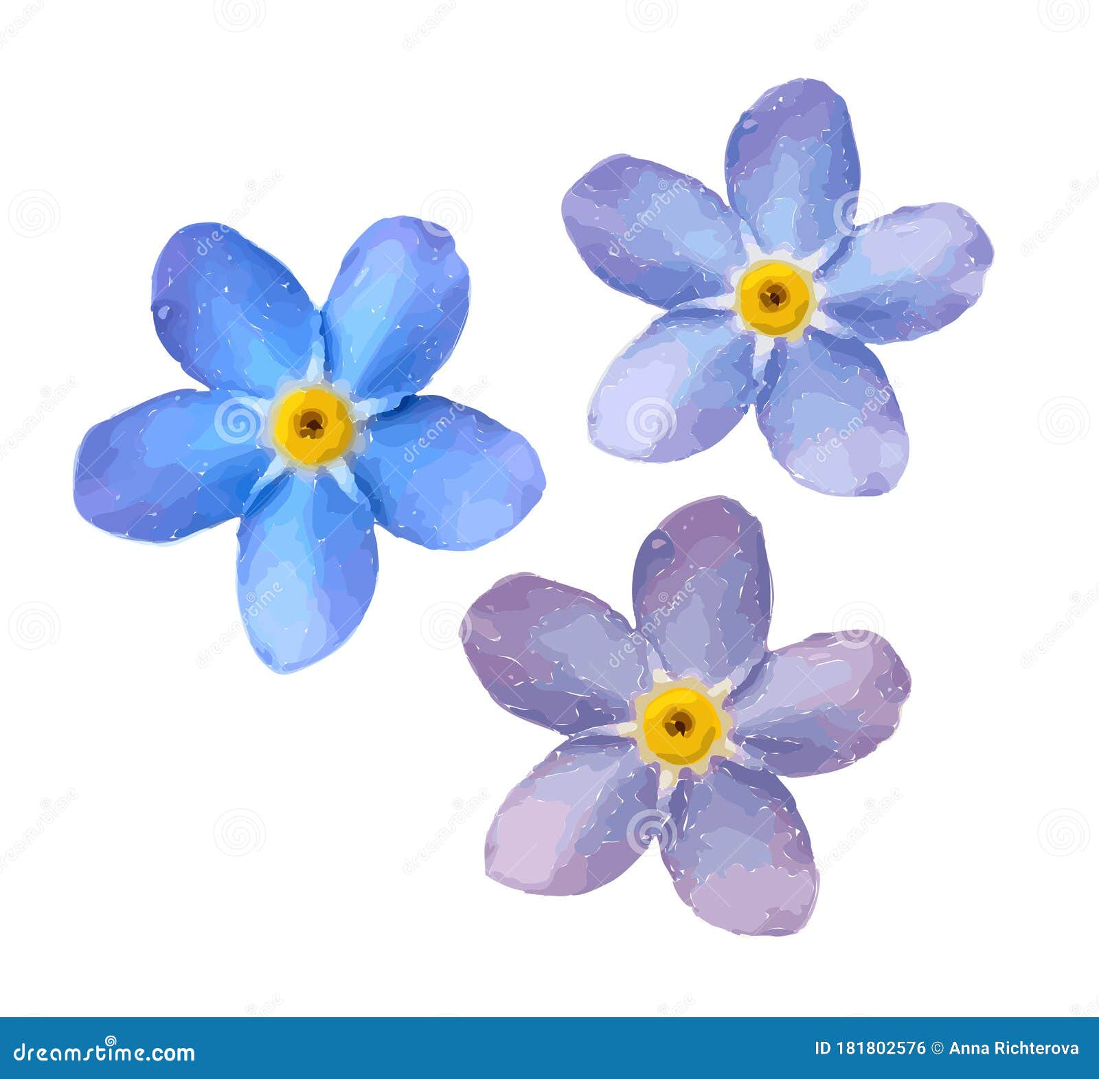 Forget Me Not Flower Stock Illustrations – 4,121 Forget Me Not Flower Stock  Illustrations, Vectors & Clipart - Dreamstime