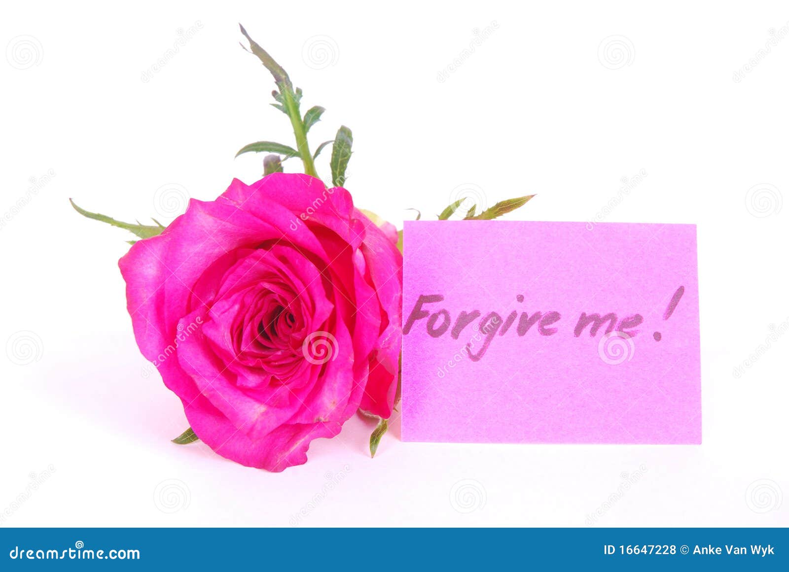 me concept stock photo. Image of flower, rose 16647228