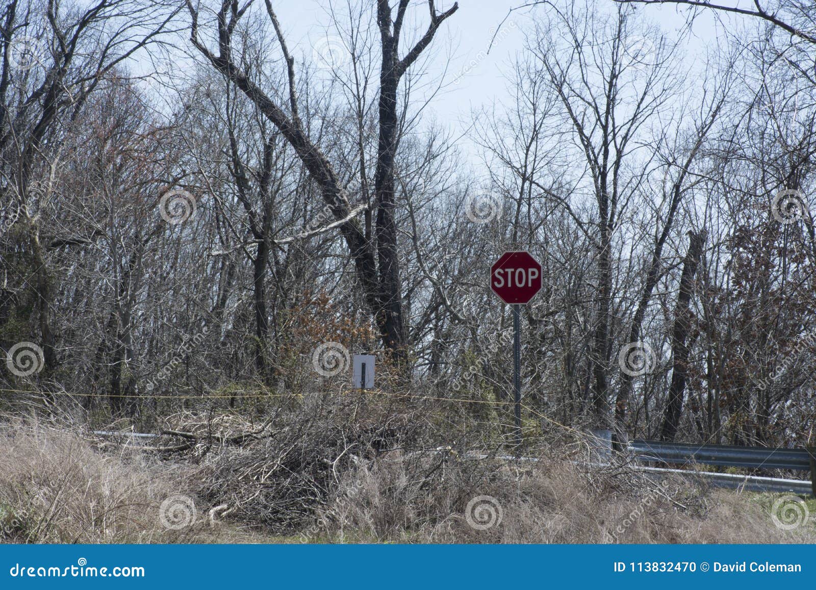 forgotten roadway stop sign
