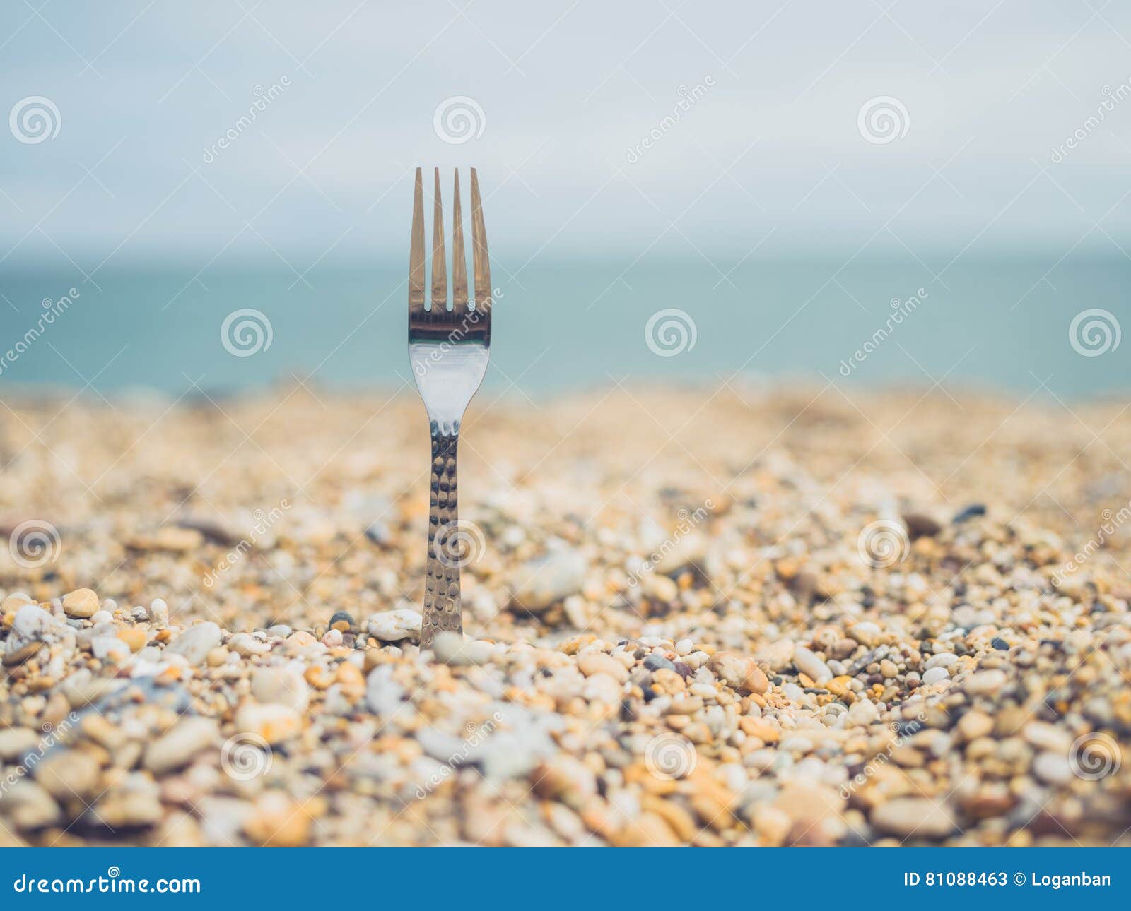 Fork on the beach stock image. Image of rock, metal, outdoors 81088463