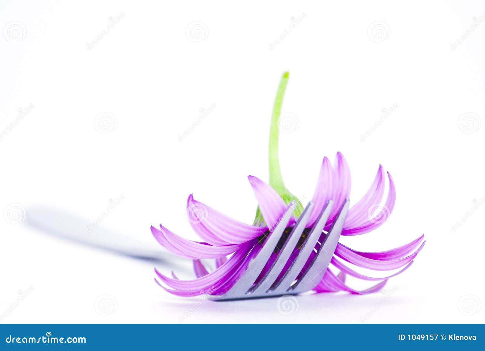 Fork and flower stock image. Image of closeup, cooking 1049157