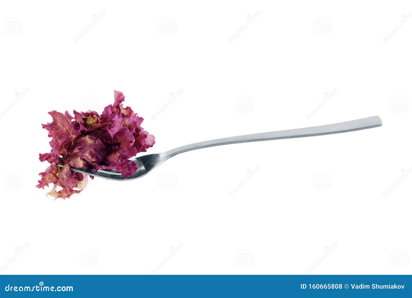 Fork with Salad on a White Background Stock Photo Image of organic