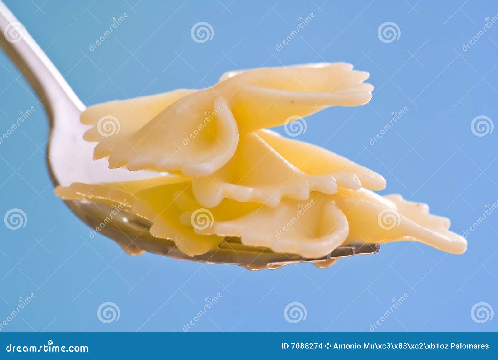 Fork Wiht Fresh Pasta and Sauce Oregano Stock Photo Image of