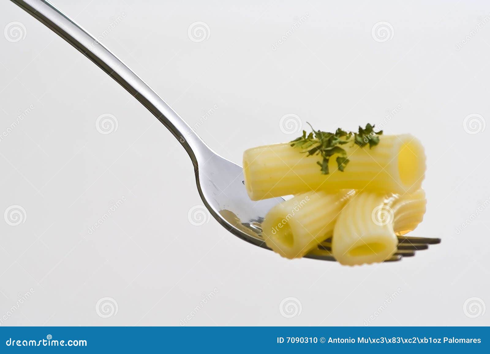 Fork Wiht Fresh Pasta and Sauce Oregano Stock Photo Image of cream