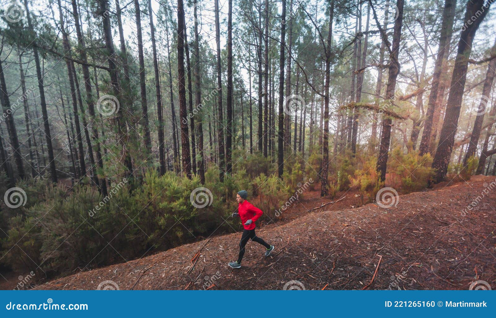 Um homem correndo em um caminho na floresta