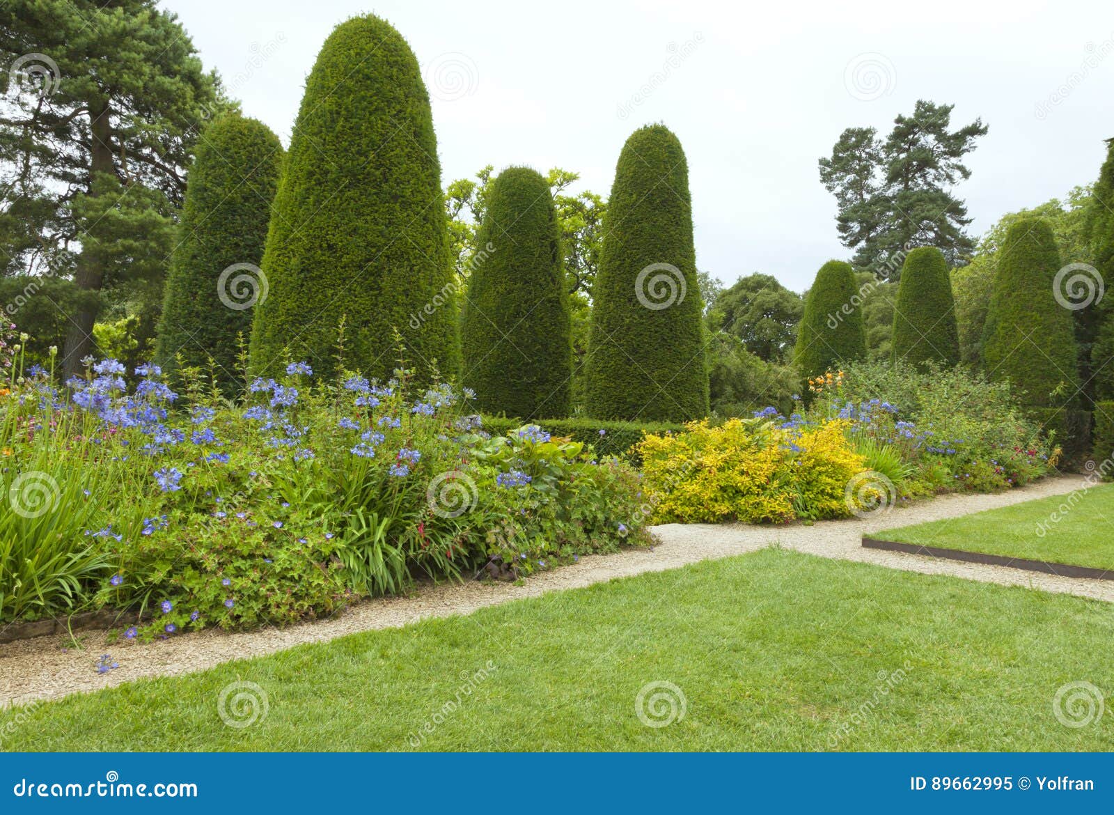formal english garden with conifer trees, flowerbeds