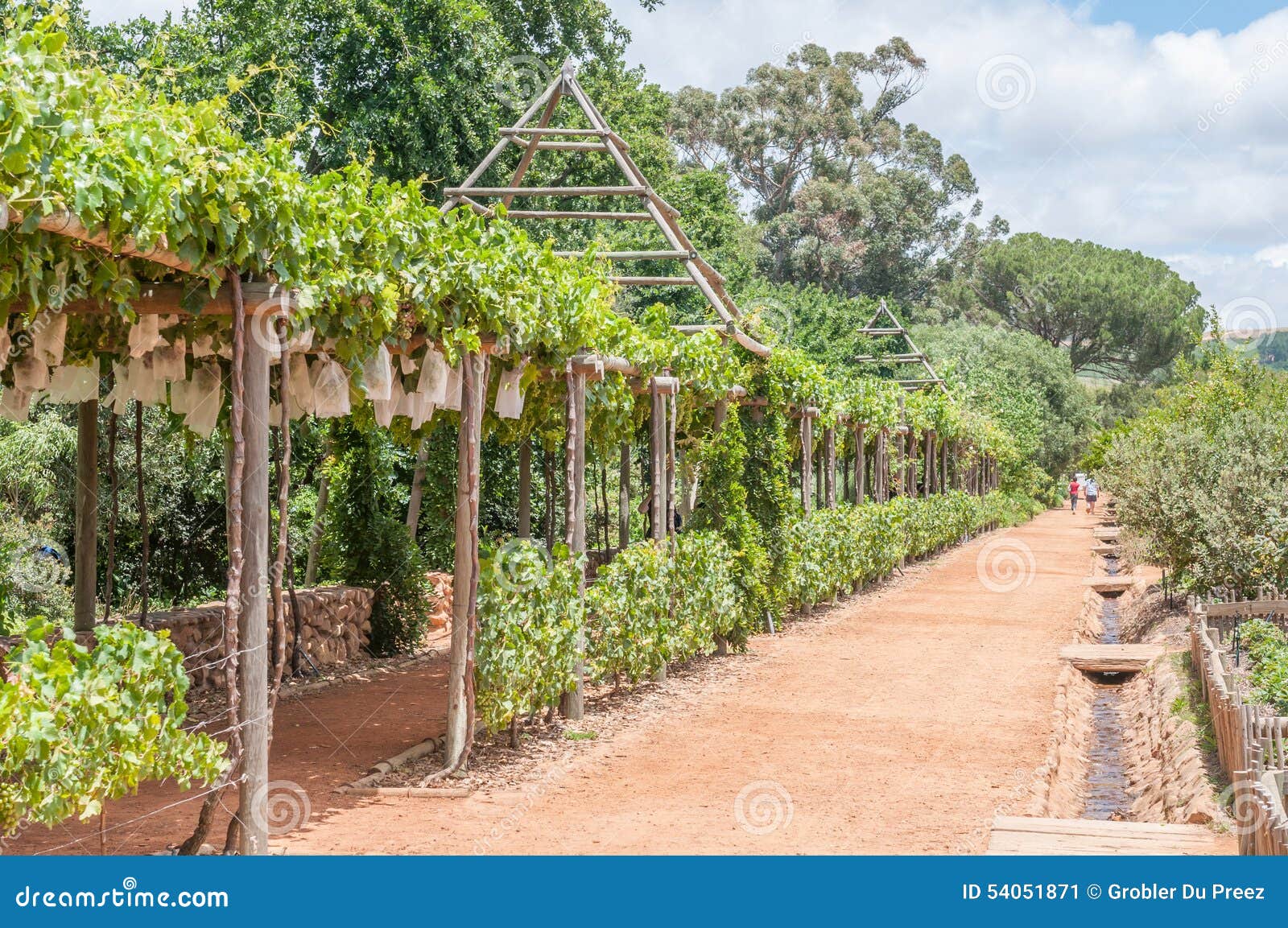 Formal Garden On A Farm Editorial Photo Image Of Farm 54051871