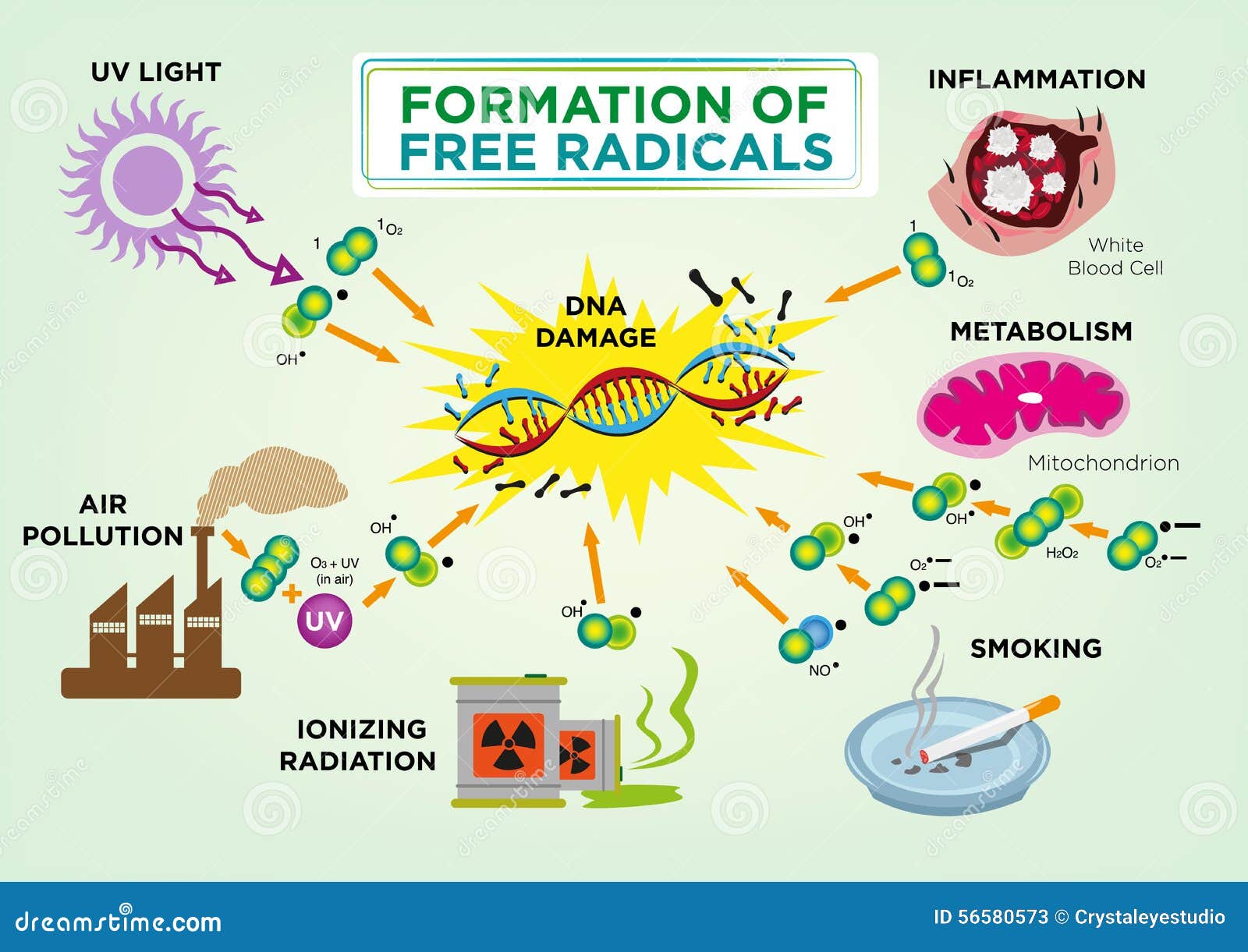 formation of free radicals concept. editable clip art and jpg.