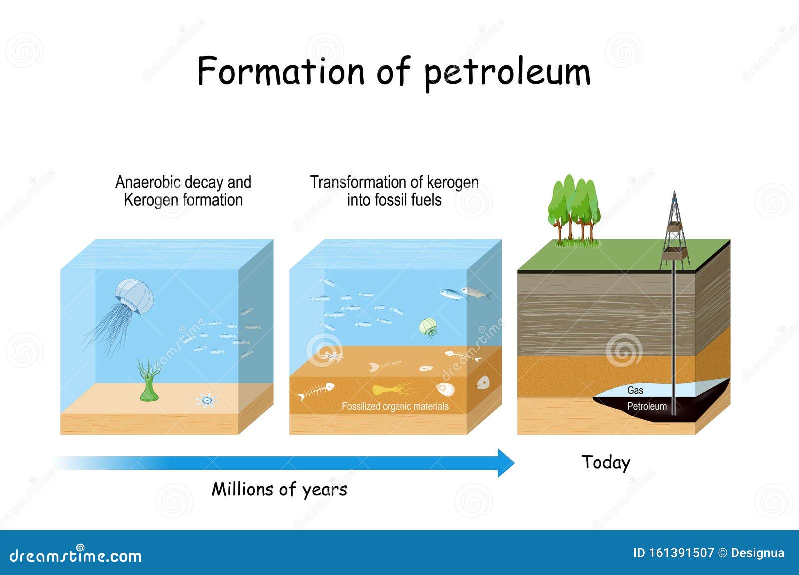 Formation of Petroleum. Oil and Gas Formation Stock Vector - Illustration  of infographic, methane: 161391507