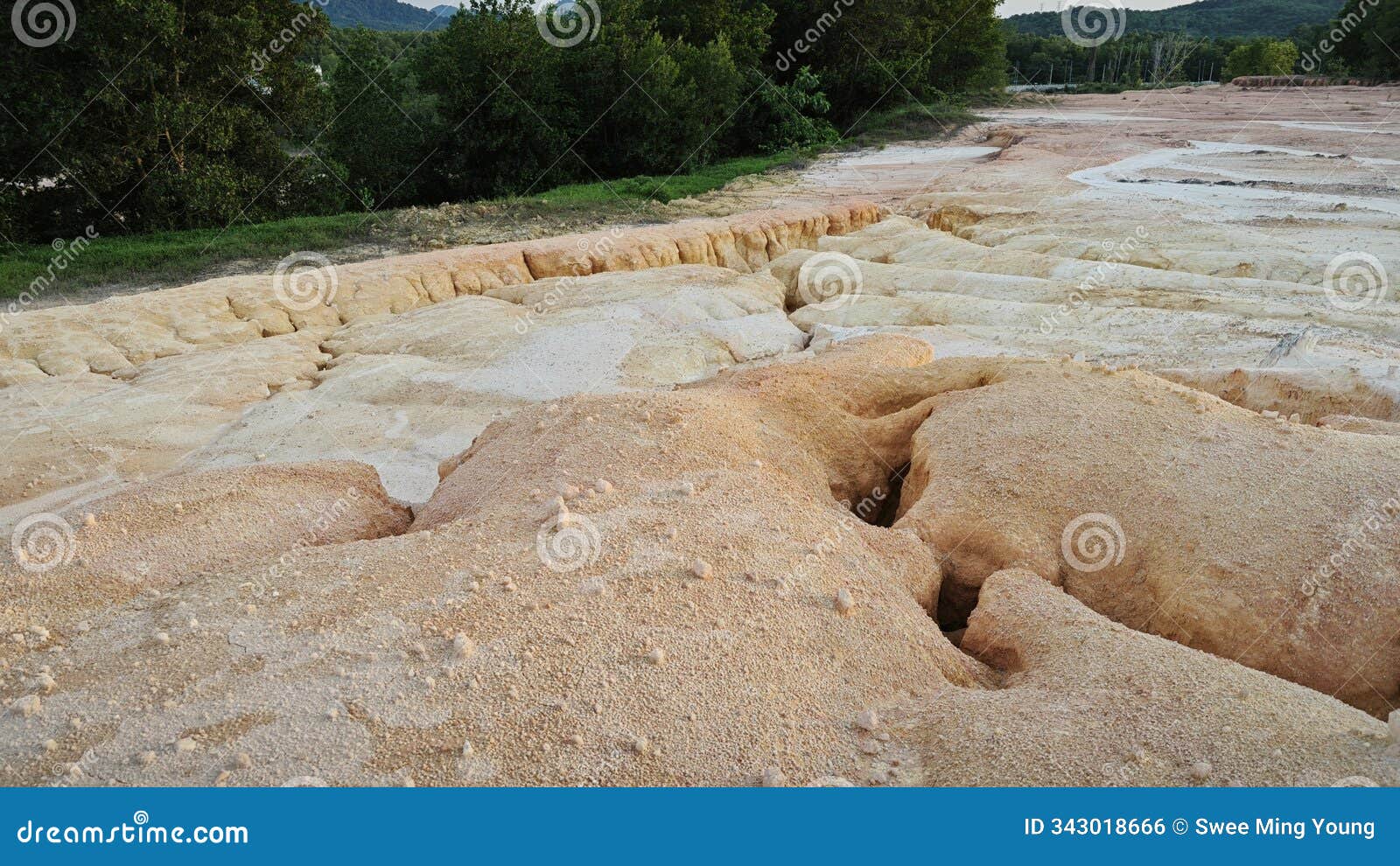 formation scene around the soil texture and pattern of the limestone hill.