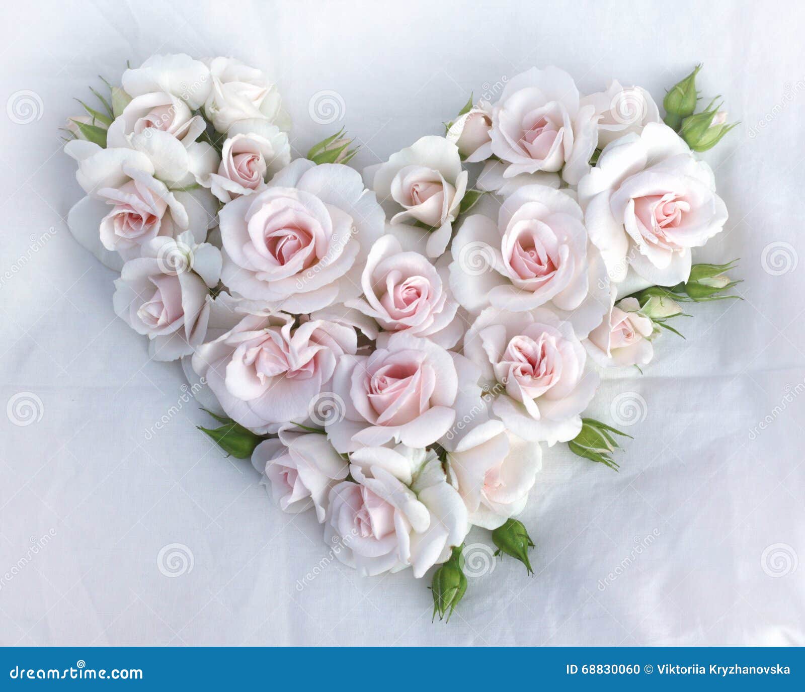 Forme De Coeur De Roses Blanches Photo stock - Image du carte, tissu:  68830060