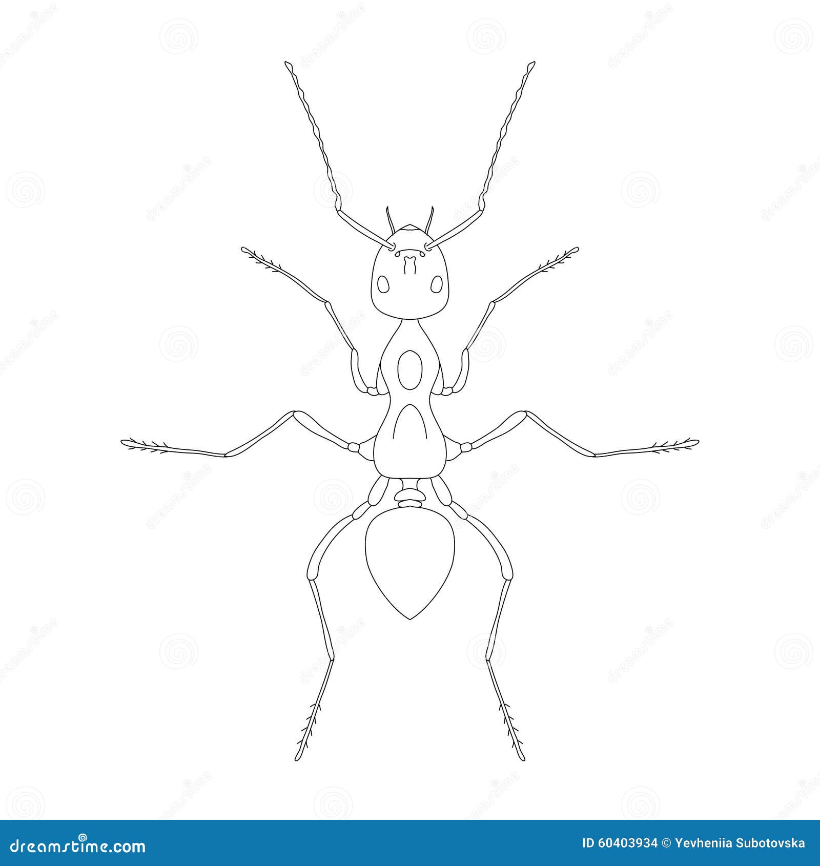 Ant Drawing - How To Draw An Ant Step By Step