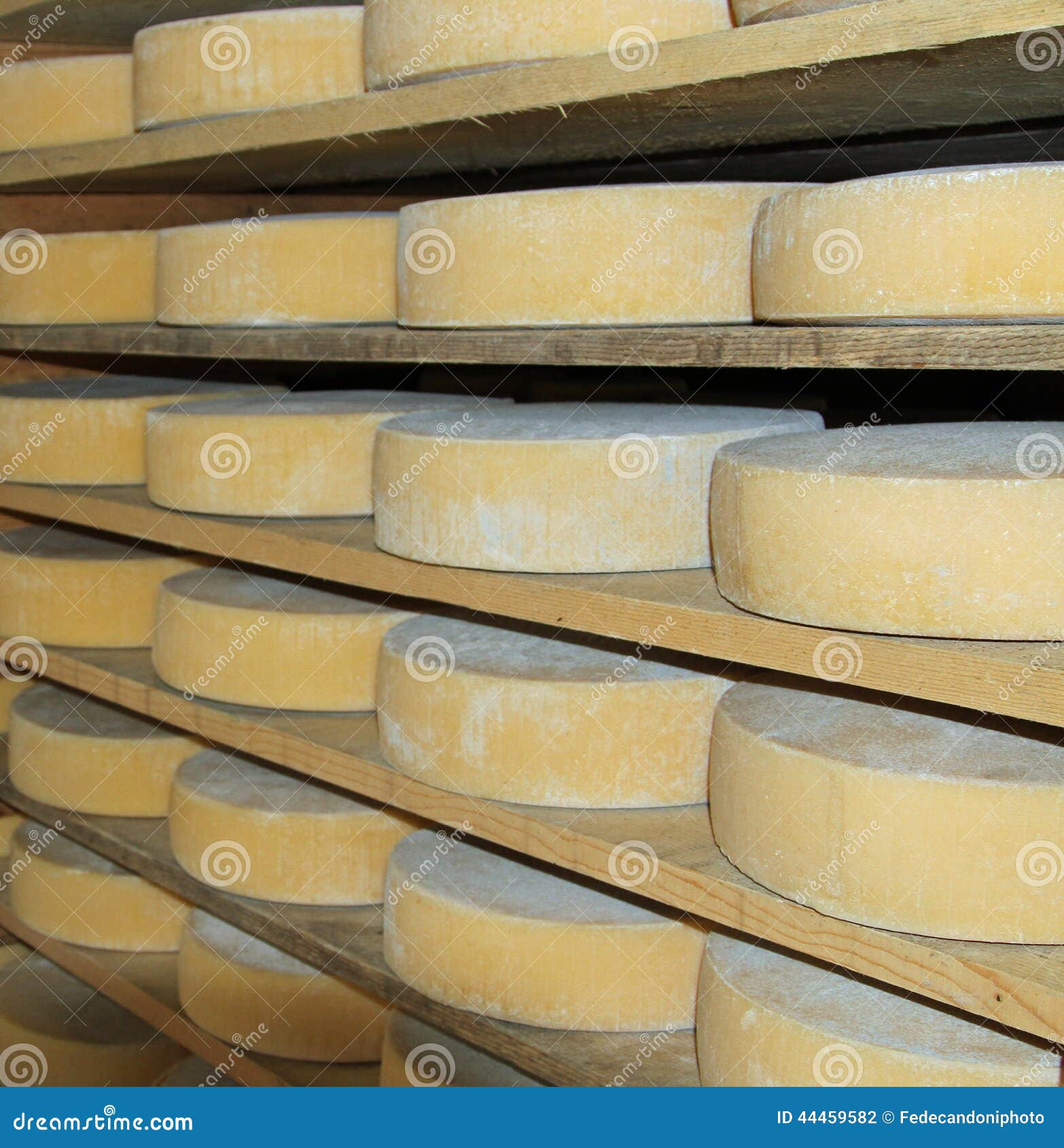Forms of Aged Cheese in the Dairy of a Mountain Hut Stock Photo Image