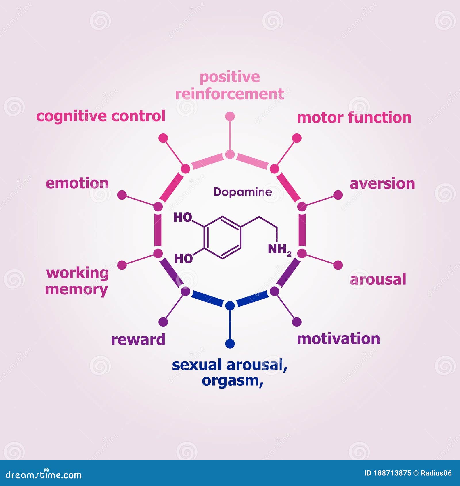 Dopamine infographic