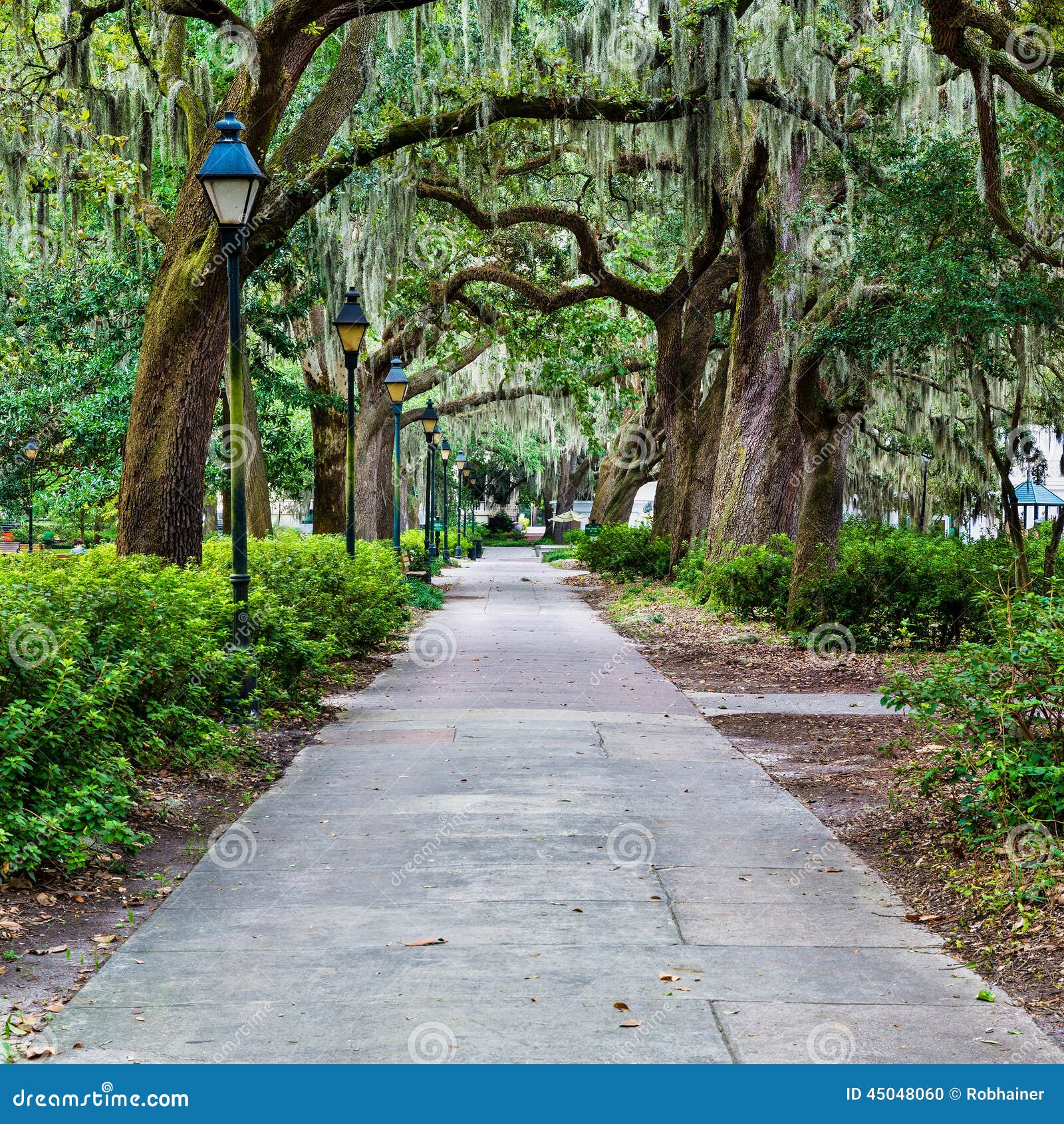 Forsyth Park in Savannah, GA Stock Photo Image of historic, beautiful