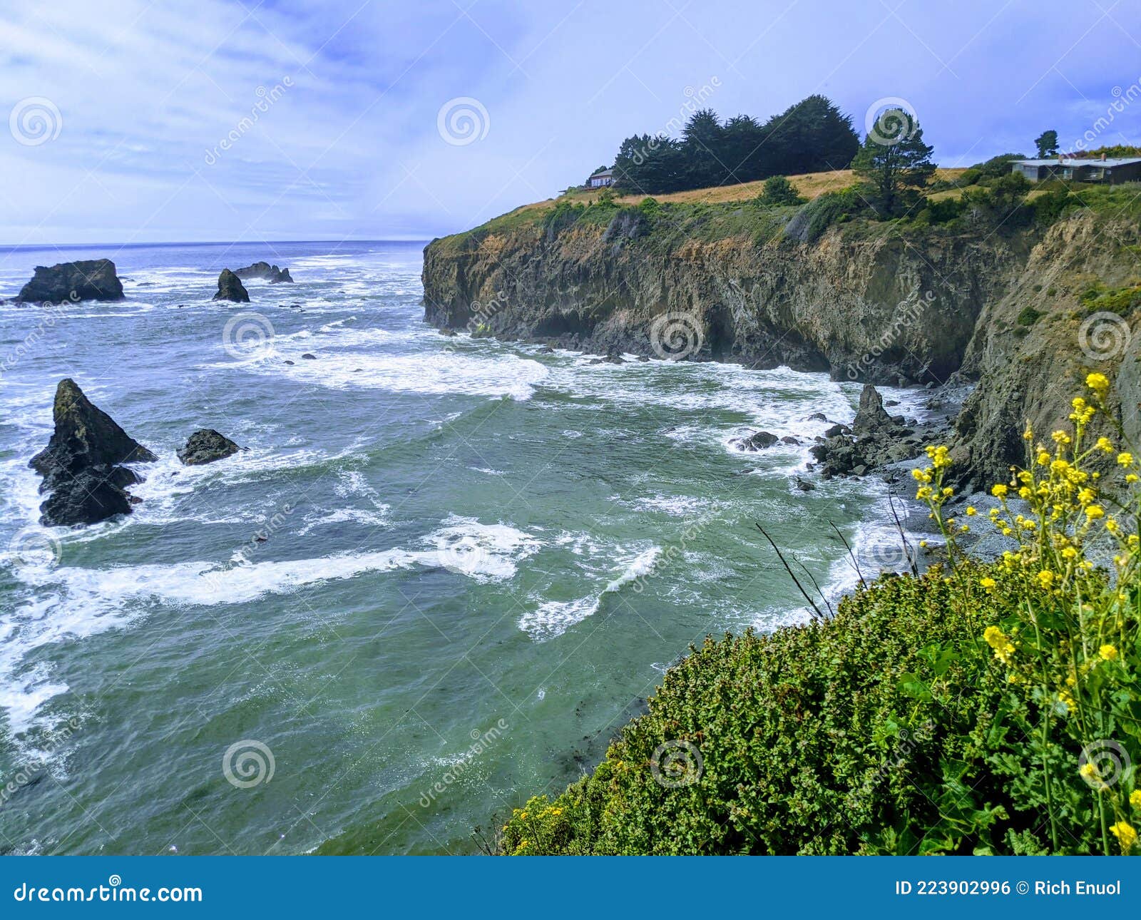 Fort Bragg California stock photo. Image of terrain 223902996