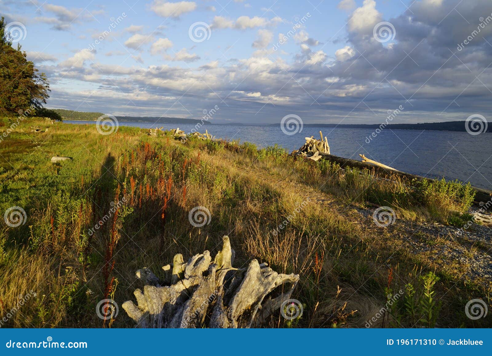 fort ebey state park whidbey island washington seattle