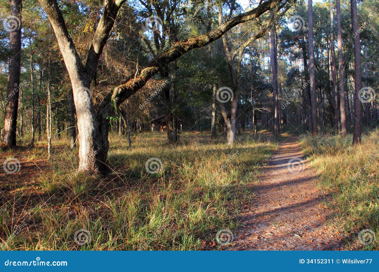 fort gadsden trail
