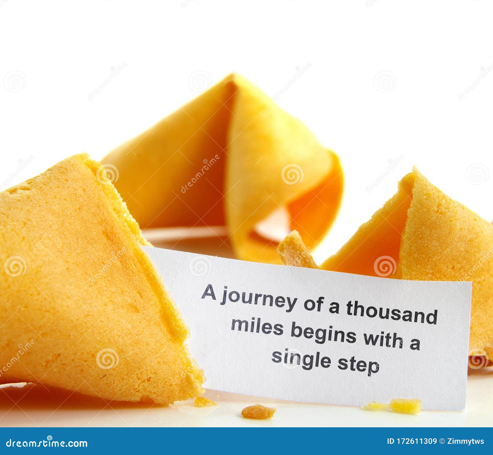 fortune cookie journey proverb