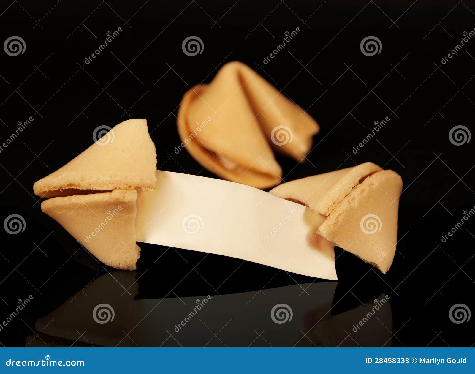 fortune cookies blank fortune