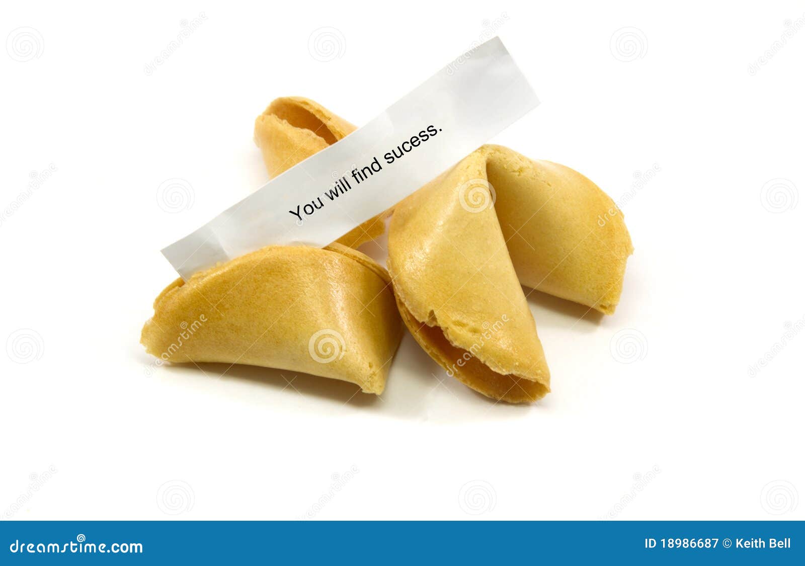 Fortune Cookies Success Related. Chinese fortune cookies cracked open with the fortune You will find success.