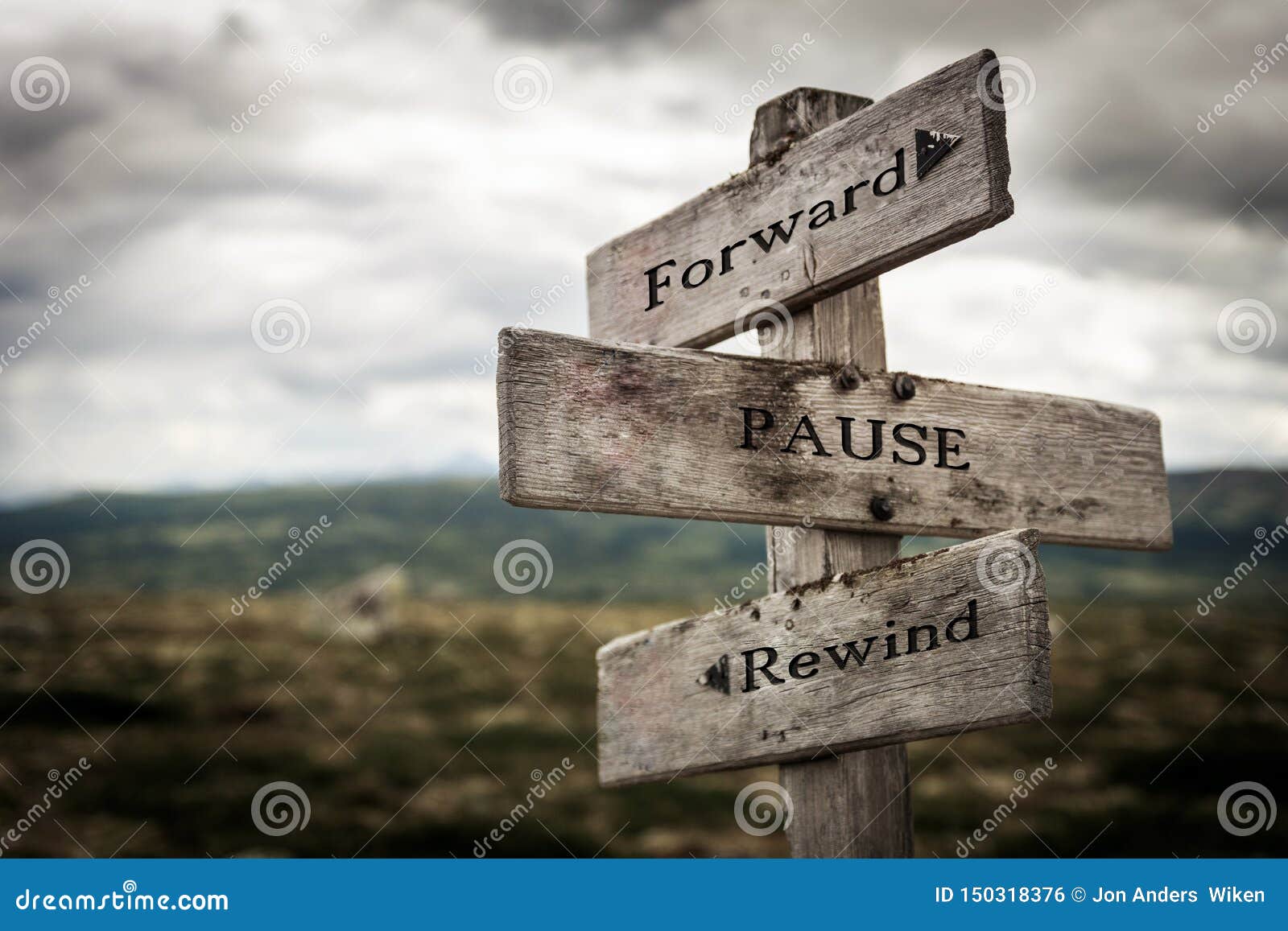 forward, pause, rewind signpost in nature.