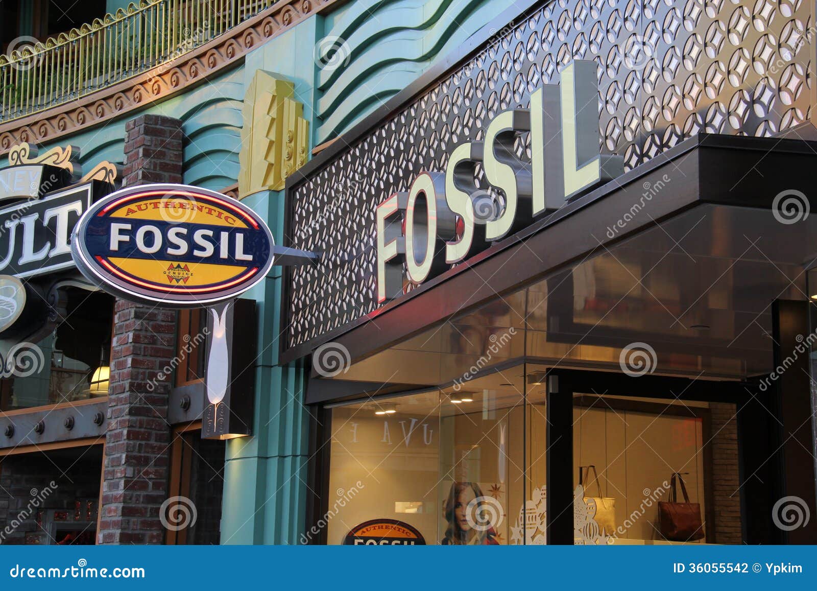 Fossil editorial photography. Image of purse, display - 36055542