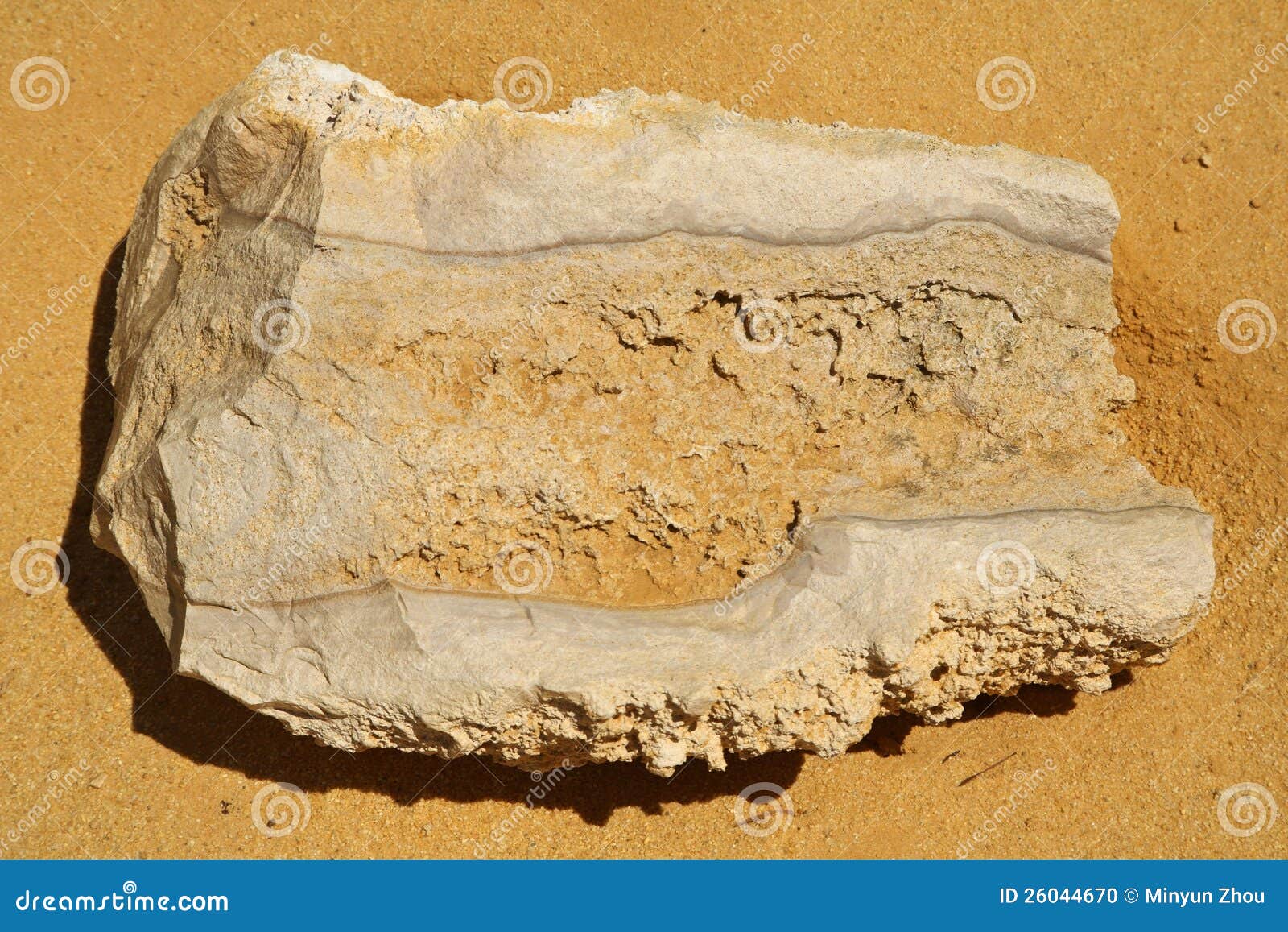 Fossil australia