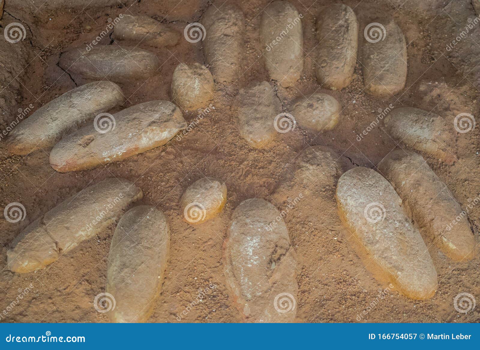 Protoceratops Eggs Stock Photos - Free & Royalty-Free Stock ...