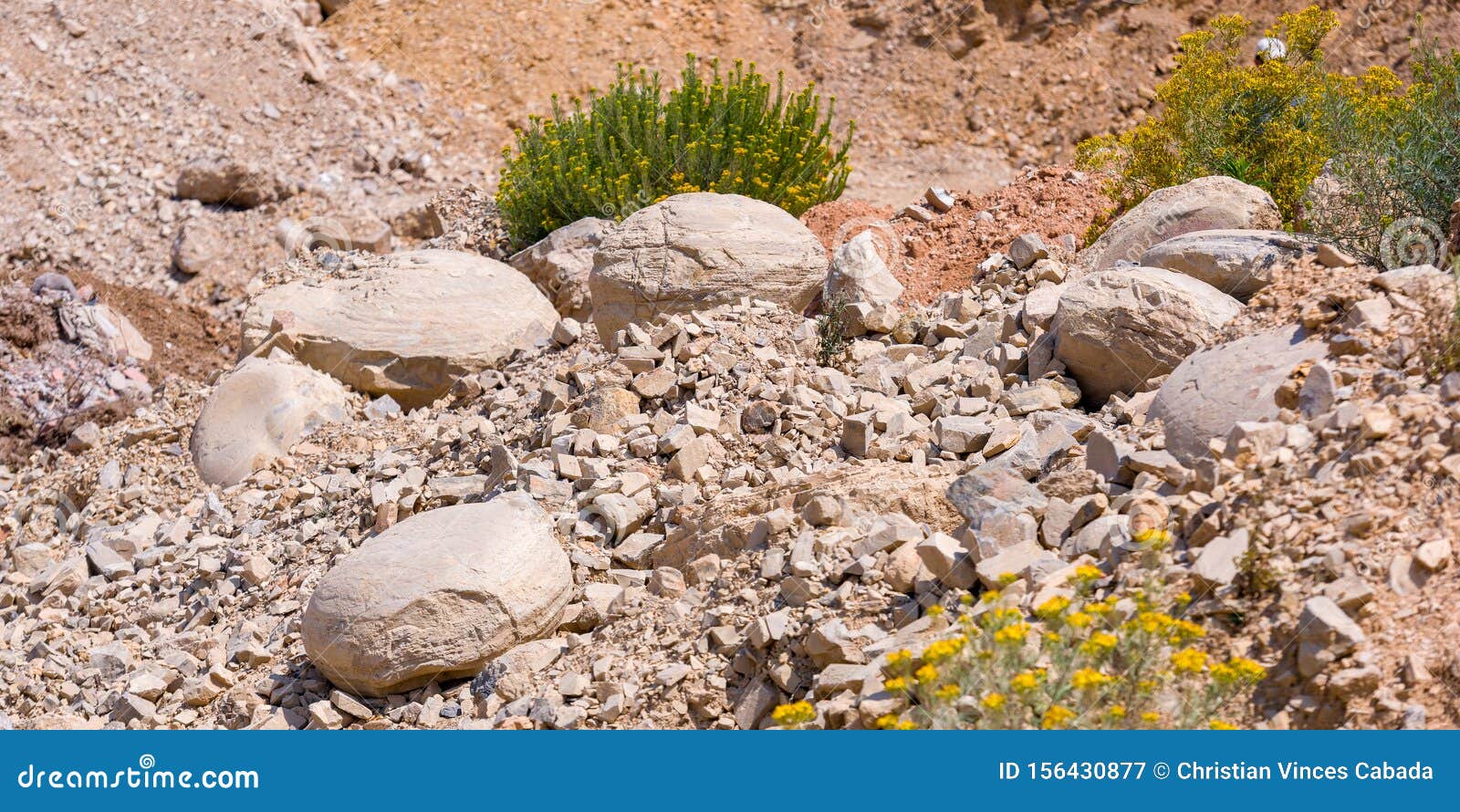 fossils in the andes of huancayo, peru