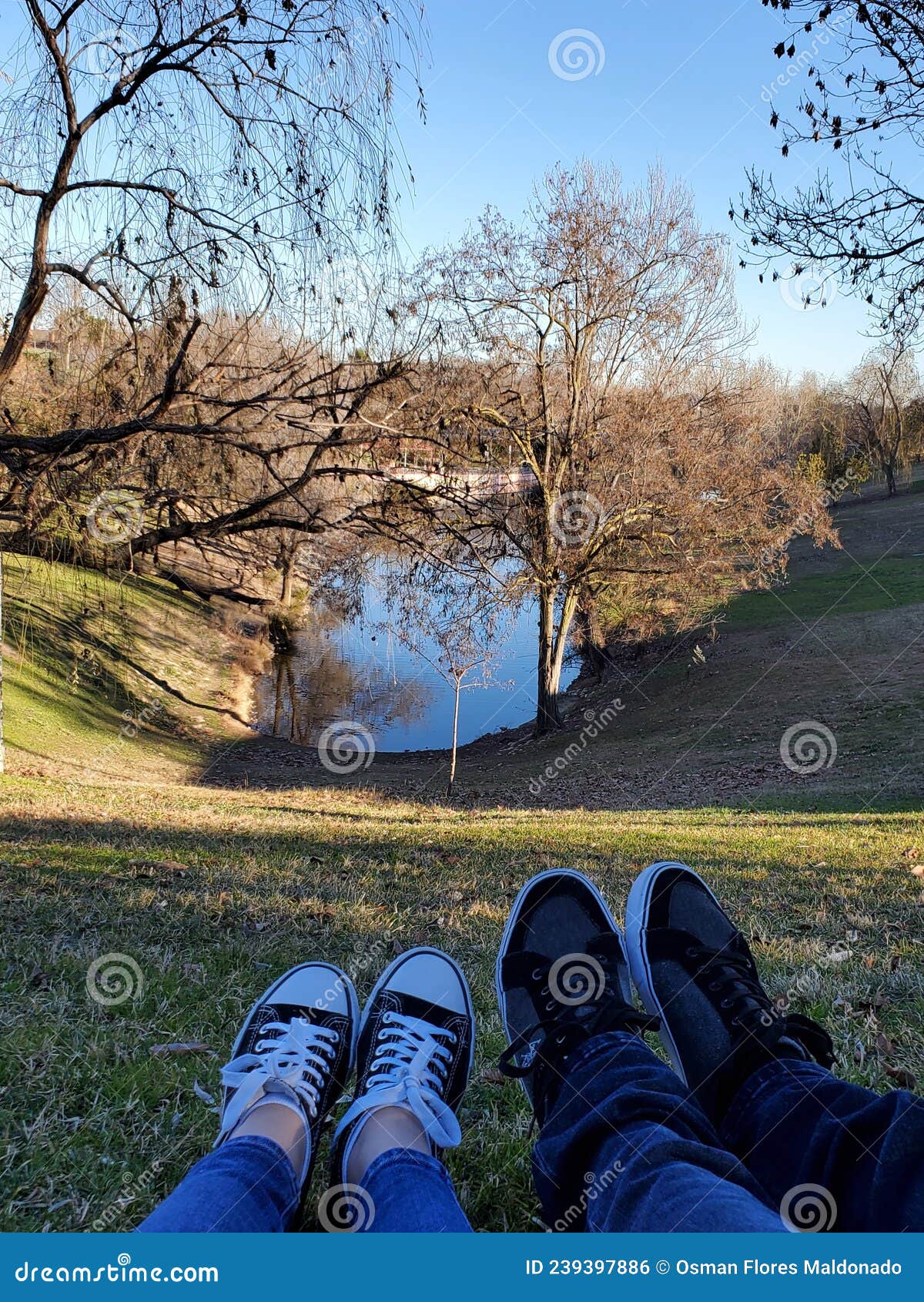 foto en la naturaleza