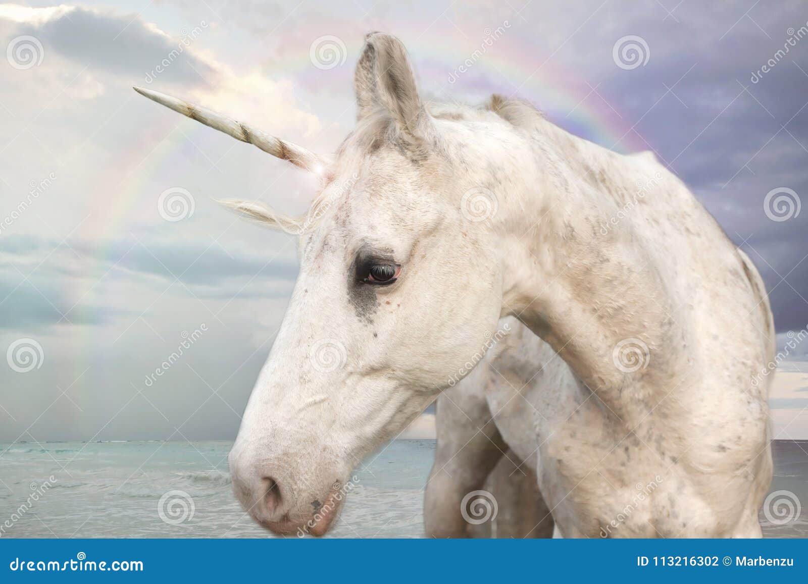 Foto-realistisches Einhorn stockfoto. Bild von einhorn - 113216302