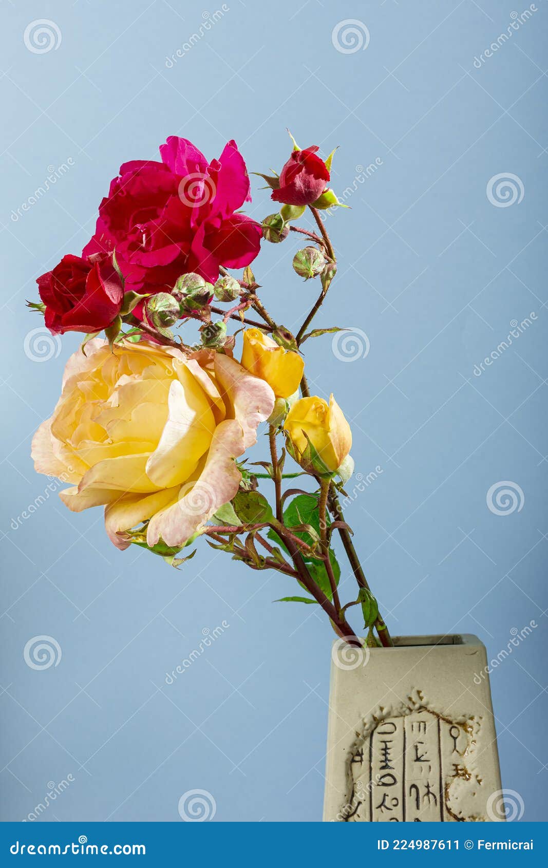 Fotografia De Um Buquê De Flores Naturais De Rosas Vermelhas E Amarelas Num  Vaso Castanho Num Fundo Azul, a Fotografia Foi Tirada Imagem de Stock -  Imagem de decorativo, flor: 224987611