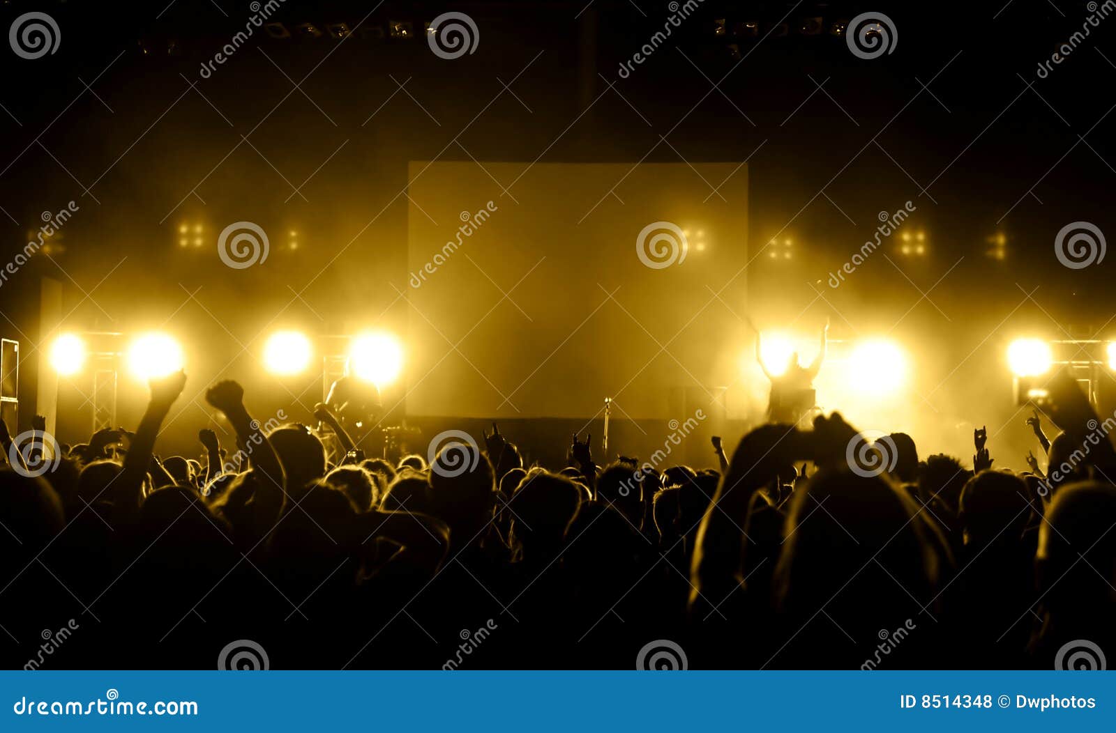 Foule de concert photo stock. Image du foule, bruit, battement 8514348