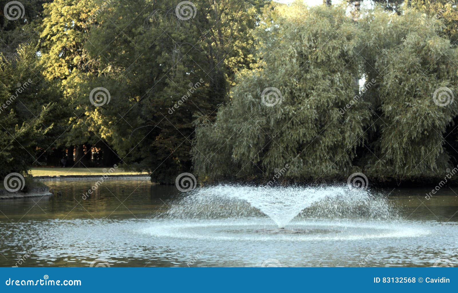 Fountain stock photo. Image of water, trees, park, england 83132568