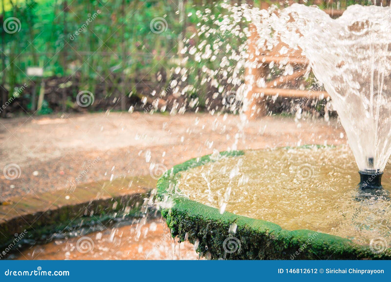 The fountain in the garden stock photo. Image of design - 146812612