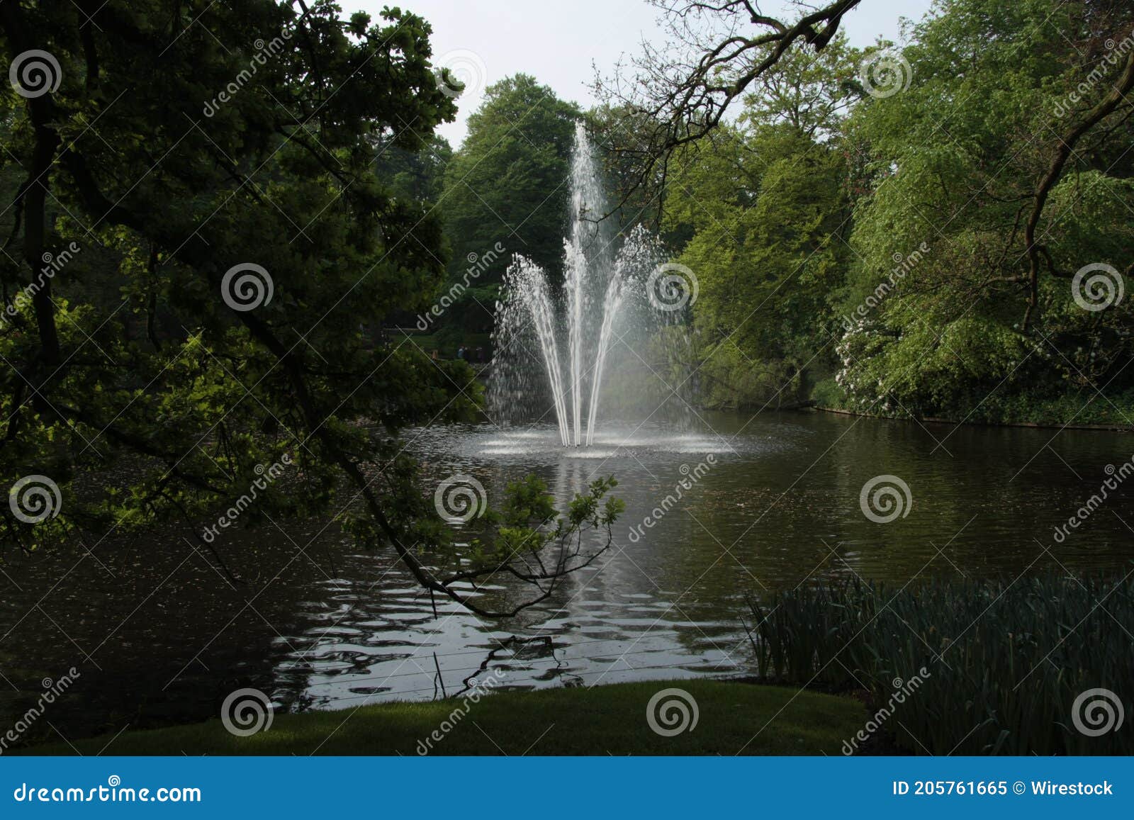 Fountain in a green park stock image. Image of outdoor 205761665