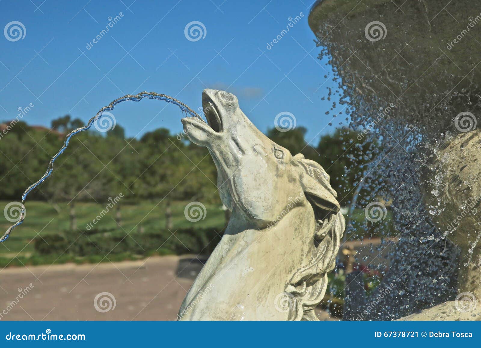 Fountain horse head stock image. Image of peace, shooting 67378721