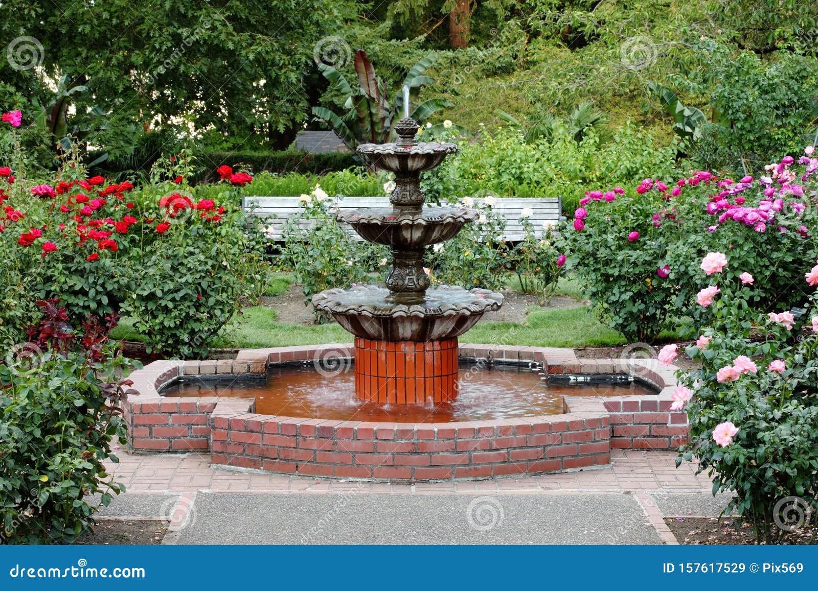 A Fountain In The International Rose Test Garden In Portland