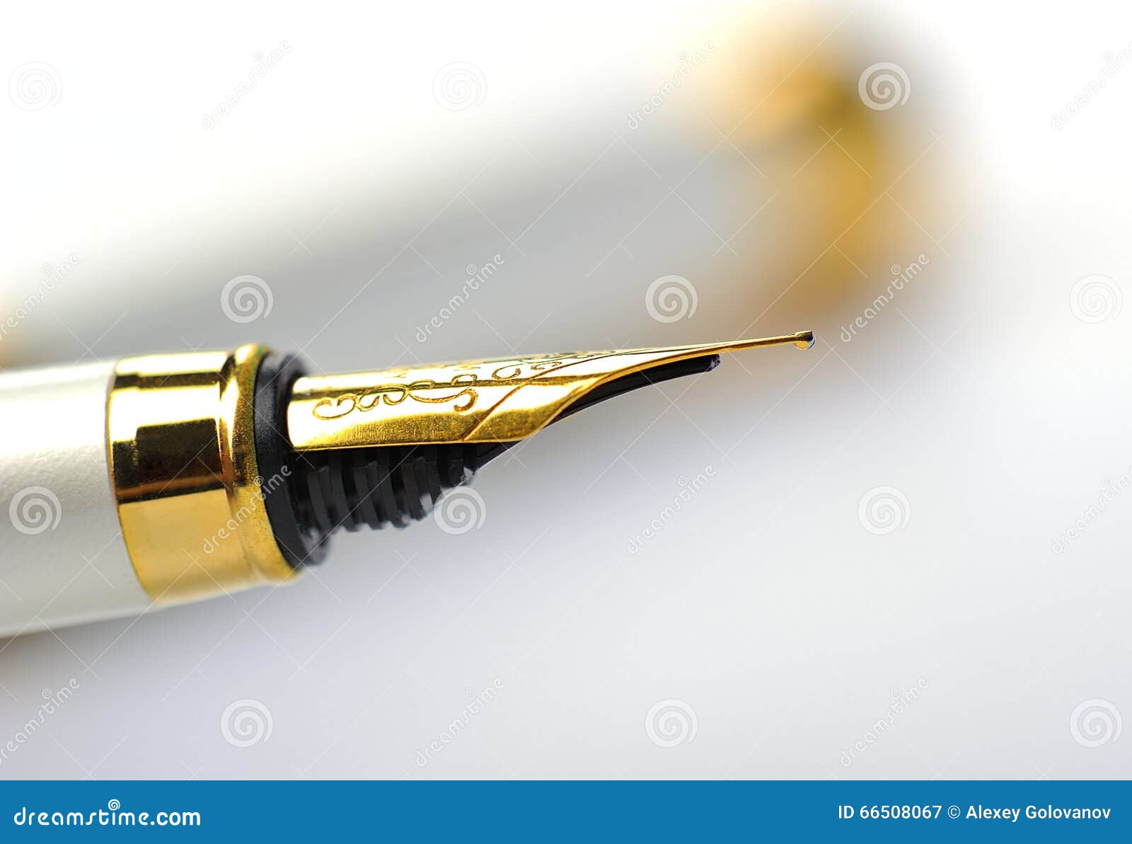 Fountain Pen close up stock image. Image of education 66508067