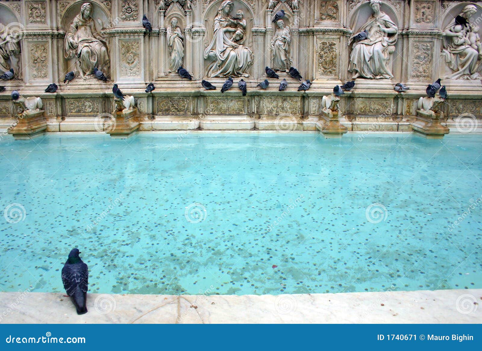 fountain in piazza del campo, siena