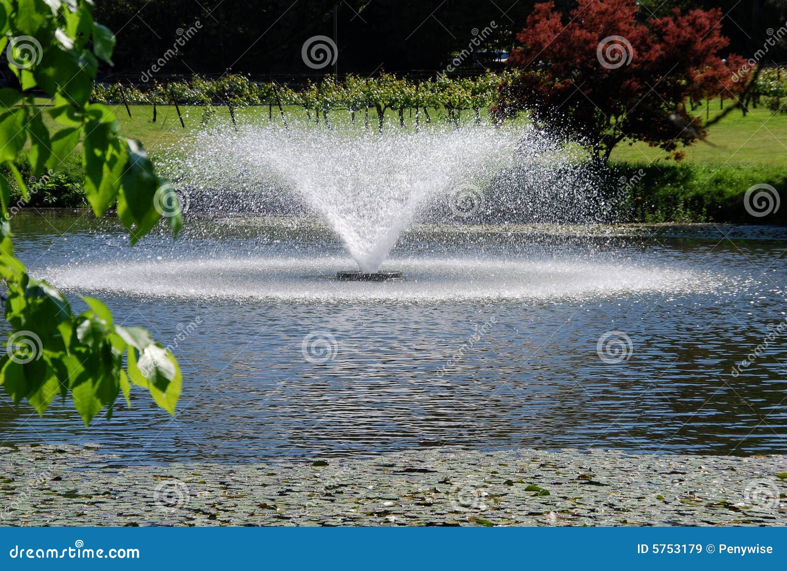 Fountain pond stock image. Image of decoration, reflection 5753179