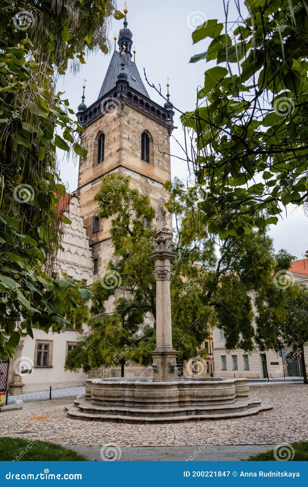 fountain with a statue of st. josefa at charles square near gothic and renaissance new town hall novomestska radnice in the