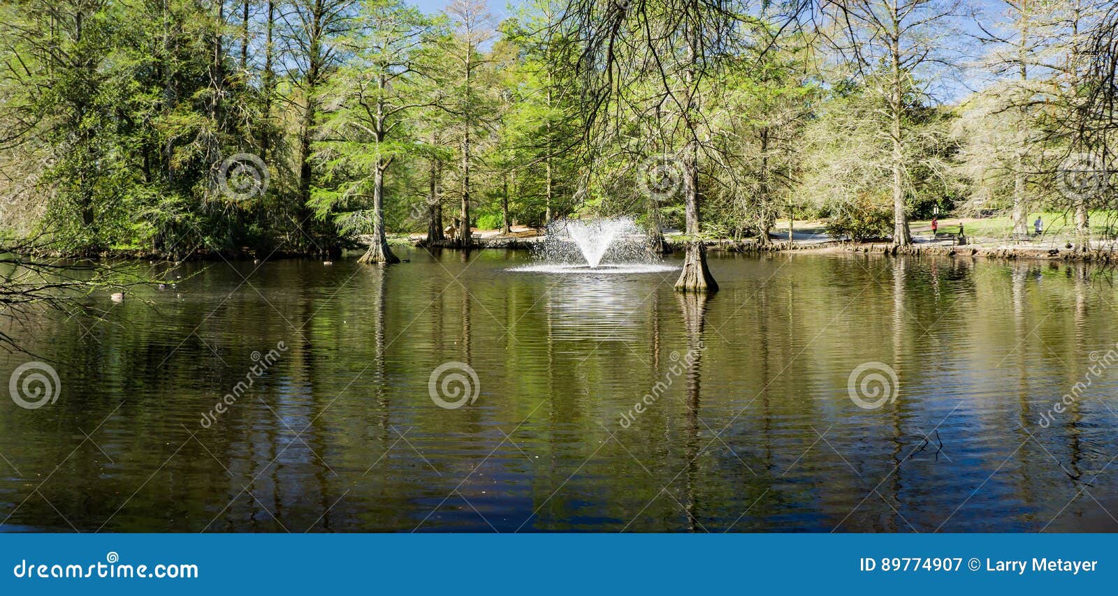 Fountain At Swan Lake Iris Gardens Sumter Sc Editorial